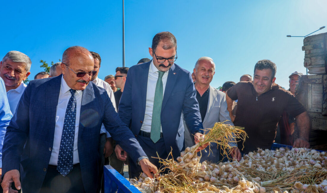 KASTAMONU (AA) – Kastamonu'nun Taşköprü ilçesinde üretilen Avrupa Birliği (AB)