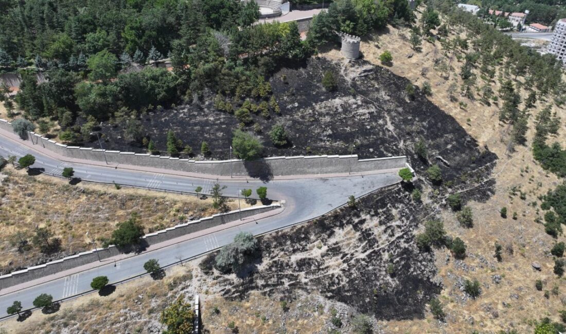 KAYSERİ (AA) – Kayseri'nin merkez Melikgazi ilçesinde otluk alanda çıkan