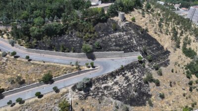 KAYSERİ (AA) – Kayseri'nin merkez Melikgazi ilçesinde otluk alanda çıkan