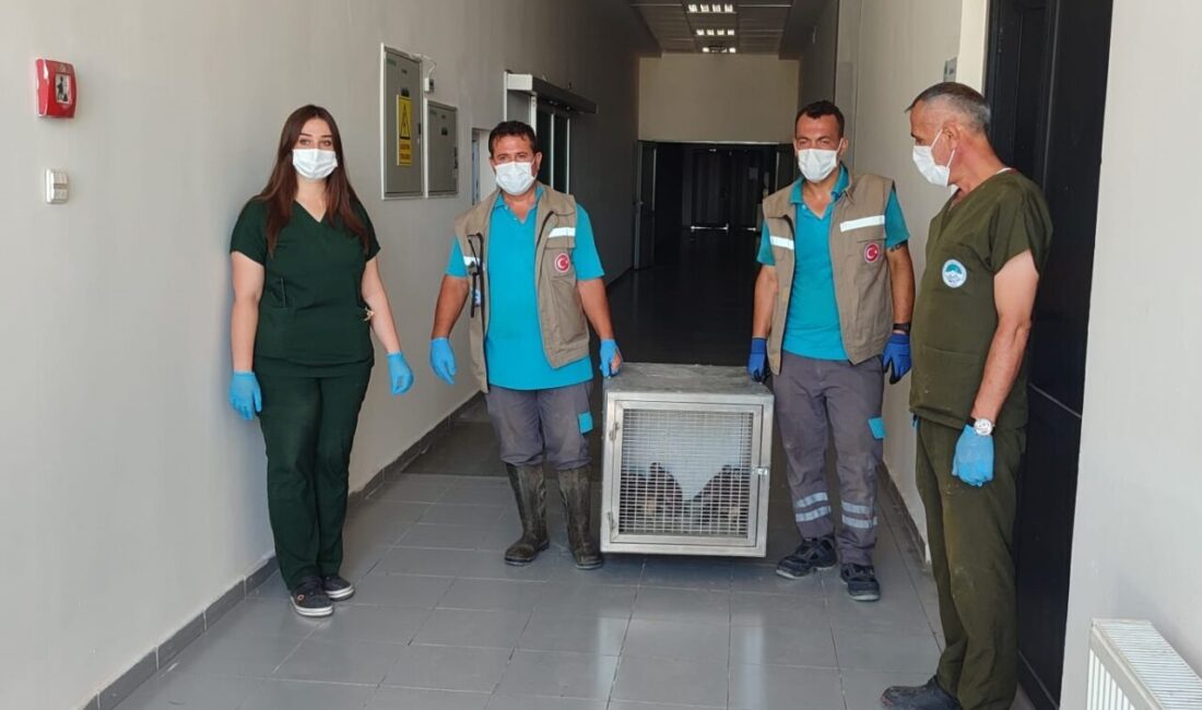 KAYSERİ (AA) – Kayseri'de tedavi ve rehabilitasyon süreçleri tamamlanan 35