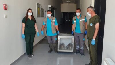 KAYSERİ (AA) – Kayseri'de tedavi ve rehabilitasyon süreçleri tamamlanan 35