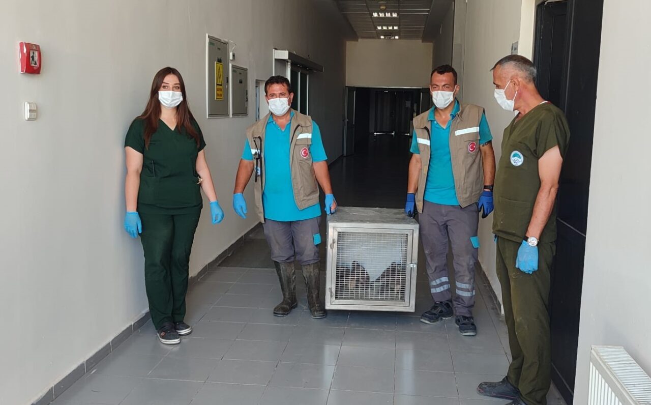 KAYSERİ (AA) – Kayseri'de tedavi ve rehabilitasyon süreçleri tamamlanan 35