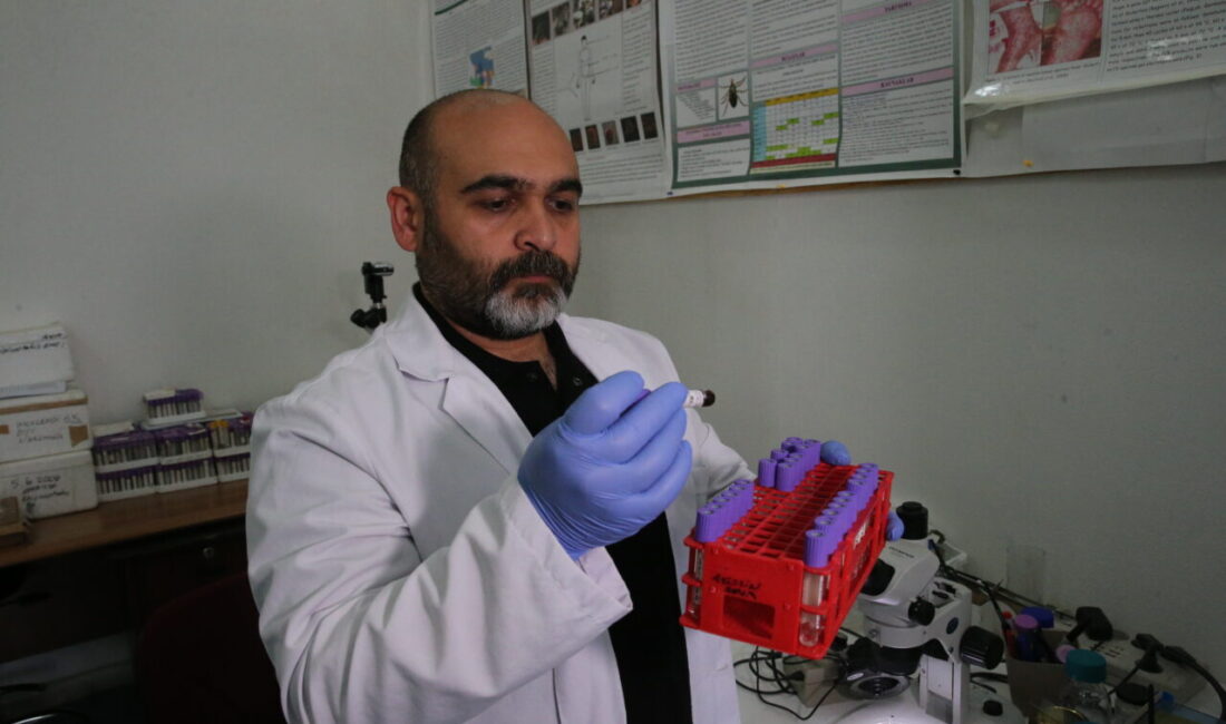 - TOGÜ Biyoloji Bölüm Başkanı Prof. Dr. Adem Keskin:
- "Toplumda