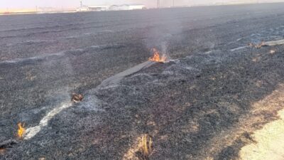 KONYA (AA) – Konya'nın Cihanbeyli ilçesinde tarlada çıkan yangına itfaiye