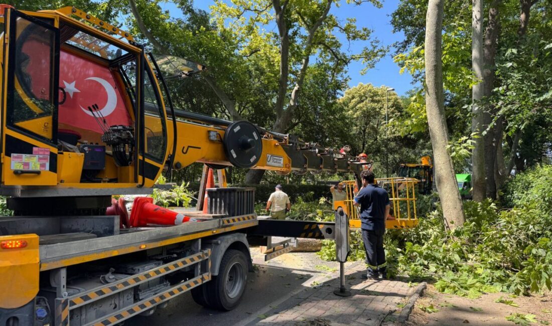 İSTANBUL (AA) – Küçükçekmece'de, ağacın devrilmesi sonucu park halindeki otomobilde