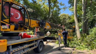 İSTANBUL (AA) – Küçükçekmece'de, ağacın devrilmesi sonucu park halindeki otomobilde