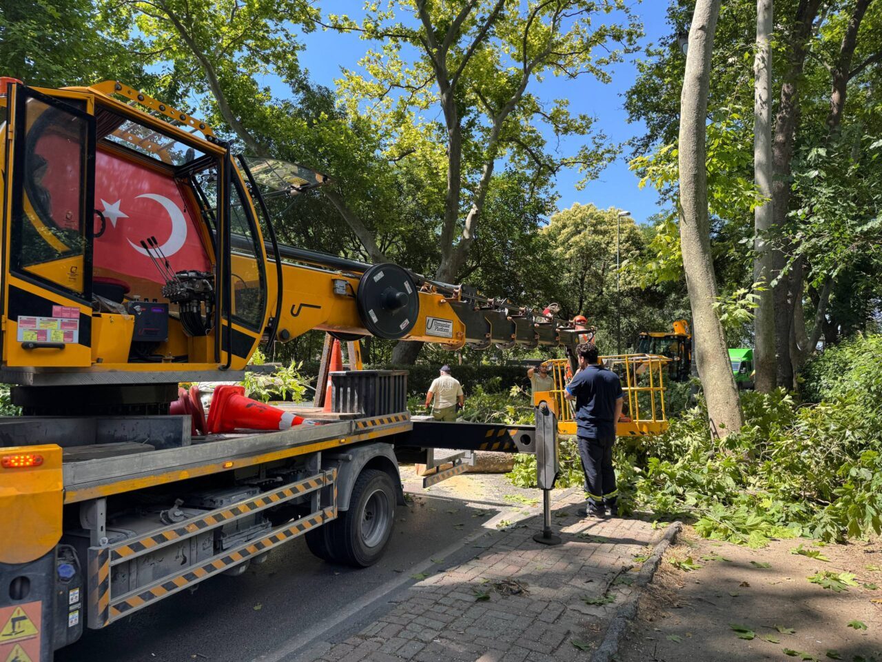 İSTANBUL (AA) – Küçükçekmece'de, ağacın devrilmesi sonucu park halindeki otomobilde