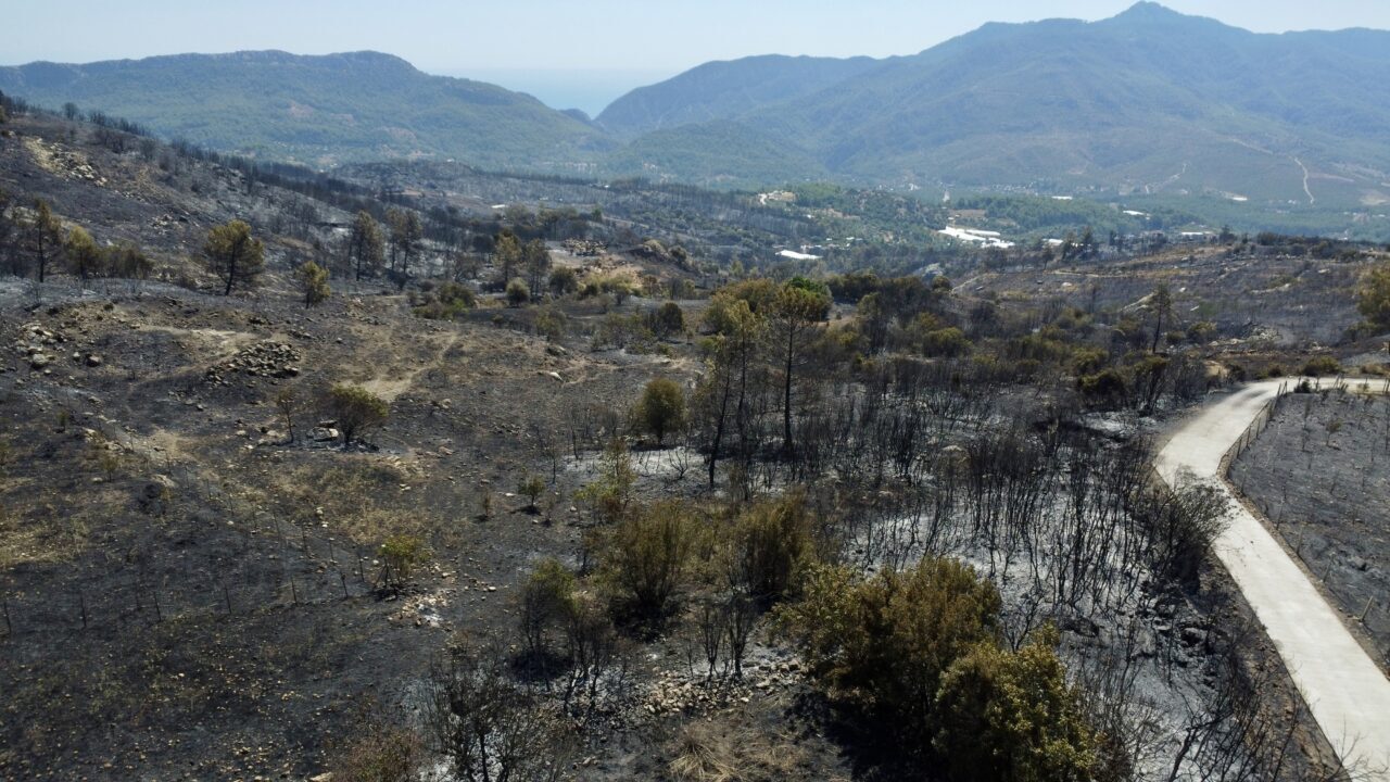 - Yanan alan ve zarar gören evler, havadan görüntülendi

DETAYLAR EKLENDİ