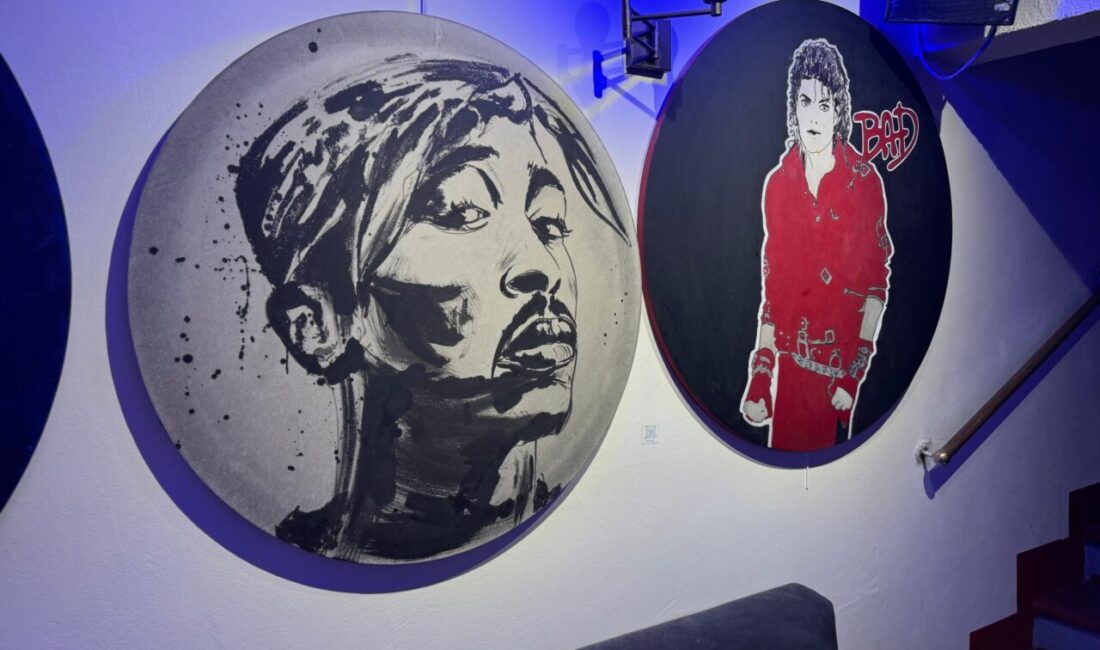 - Ressam Şebnem Uğur Düzgören:
- "Long Play Art Collection yolculuğumuzun