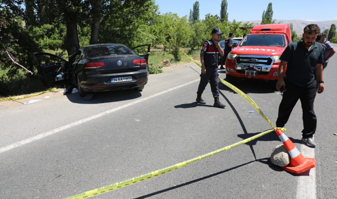 MALATYA (AA) – Malatya'nın Darende ilçesinde, ağaca çarpan otomobildeki 2