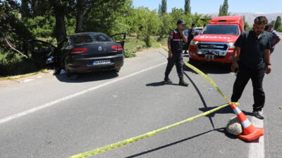 MALATYA (AA) – Malatya'nın Darende ilçesinde, ağaca çarpan otomobildeki 2