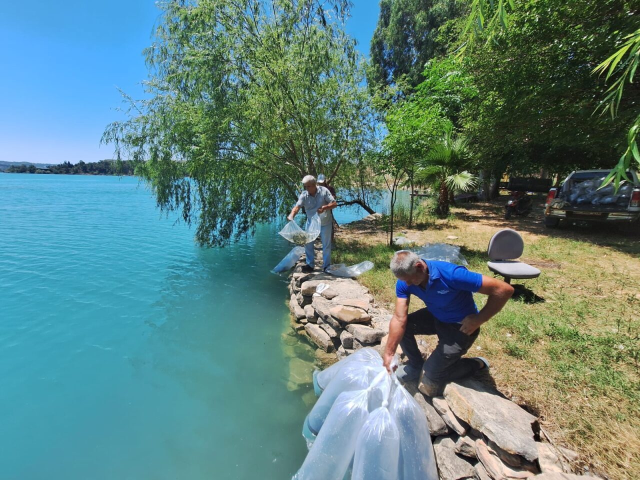 ANTALYA (AA) – Antalya'nın Manavgat ilçesindeki iç sulara 400 bin