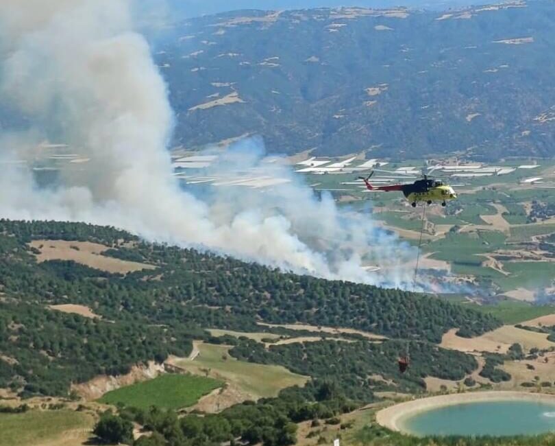 MANİSA (AA) – Manisa'nın Sarıgöl ilçesinde çıkan orman yangını, havadan