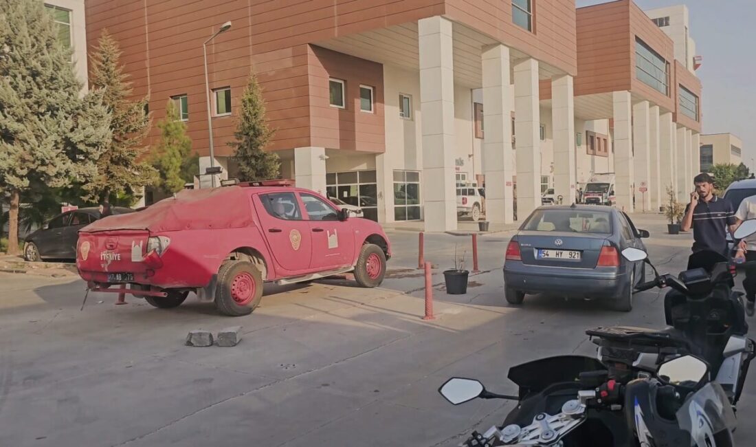 MARDİN (AA) – Mardin'in Nusaybin ilçesinde otluk alanda çıkan yangına