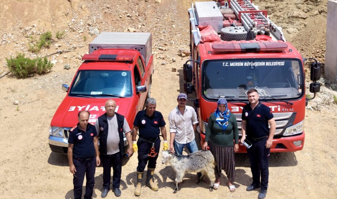 MERSİN (AA) – Mersin'in Bozyazı ilçesinde kayalıklarda mahsur kalan keçi,