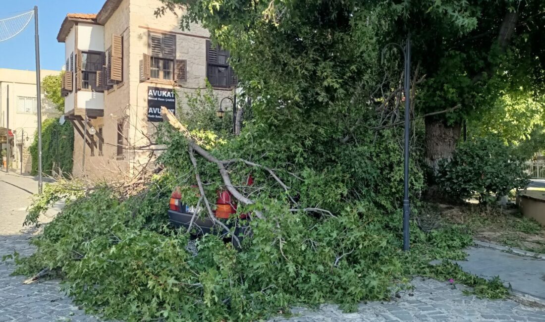 MERSİN (AA) – Mersin'in Silifke ilçesinde etkili olan kuvvetli rüzgar