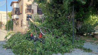 MERSİN (AA) – Mersin'in Silifke ilçesinde etkili olan kuvvetli rüzgar