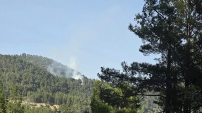 MERSİN (AA) – Mersin'in Gülnar ilçesinde ormanlık alanda çıkan yangın