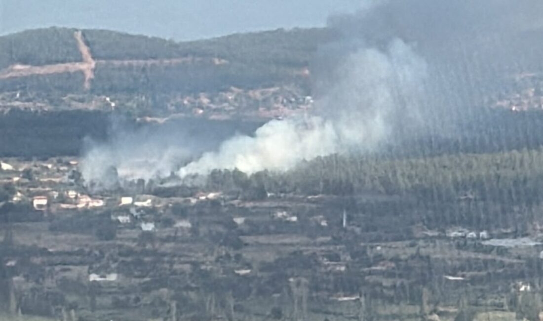 MUĞLA (AA) – Muğla'nın Menteşe ilçesinde çıkan orman yangınına havadan