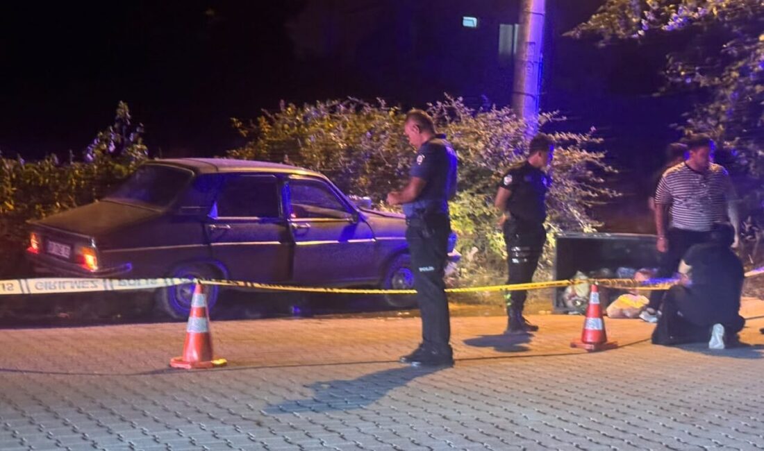 MUĞLA (AA) – Muğla'nın Seydikemer ilçesinde çöp konteynerine çarpan otomobilin