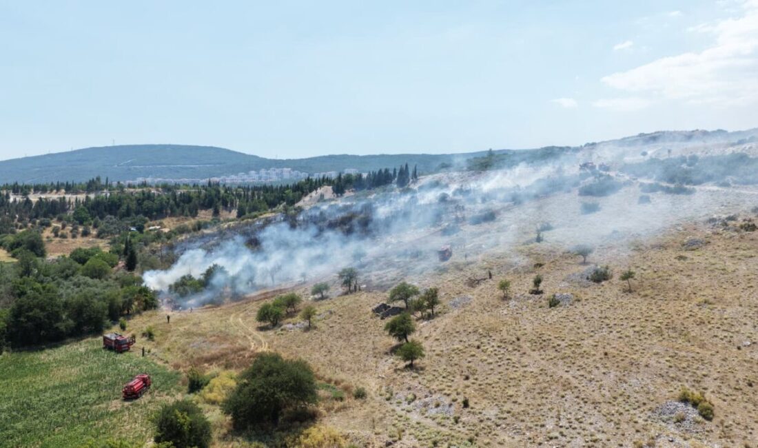 MUĞLA (AA) – Muğla'da orman ve tarım alanında çıkan yangına