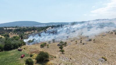 MUĞLA (AA) – Muğla'da orman ve tarım alanında çıkan yangına
