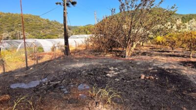 MUĞLA (AA) – Muğla'nın Marmaris ilçesinde zirai alanda çıkan yangın,