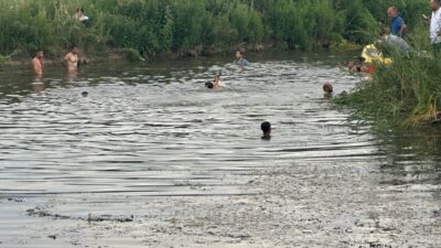 MUŞ (AA) – Muş'un Sungu beldesindeki Karaağaç Deresi'nde balık avlarken