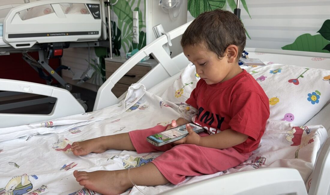 NİĞDE (AA) – Niğde'nin Çiftlik ilçesinde sahipli köpeğin saldırısı sonucu