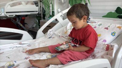 NİĞDE (AA) – Niğde'nin Çiftlik ilçesinde sahipli köpeğin saldırısı sonucu