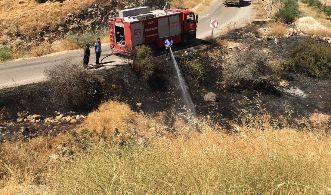 GAZİANTEP (AA) – Gaziantep'in Nizip ilçesinde çıkan tarla yangınına müdahale