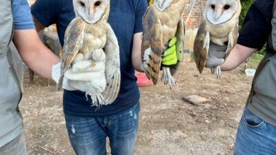 ORDU (AA) – Ordu'nun Fatsa ilçesinde bir evin çatı katında