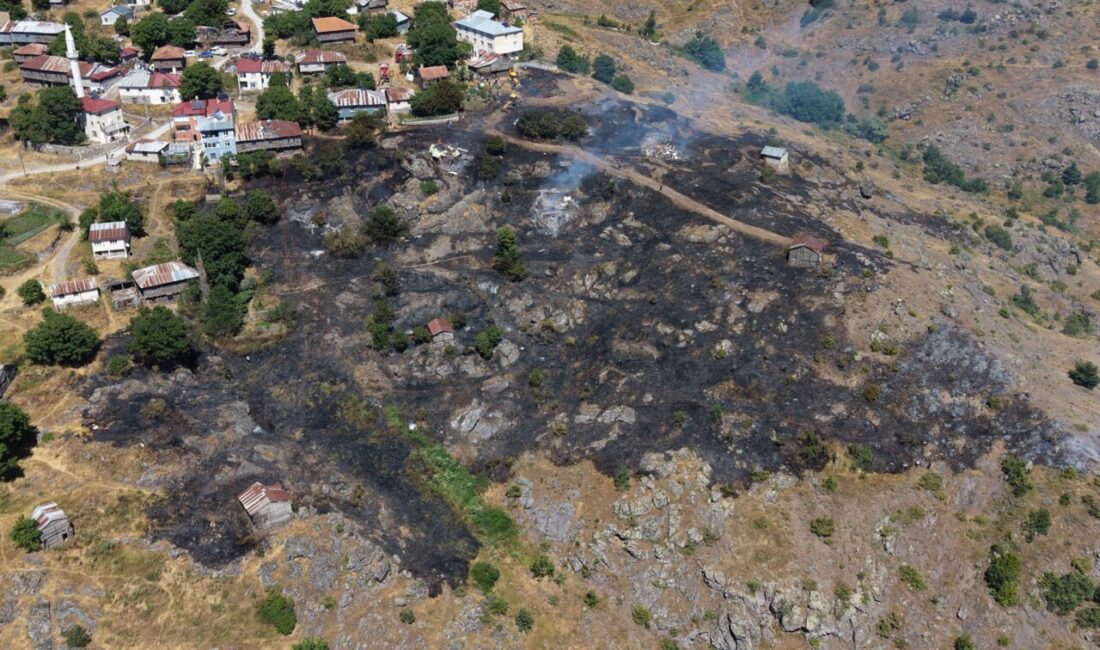 ORDU (AA) – Ordu'nun Mesudiye ilçesinde çıkan örtü yangını, ekiplerin