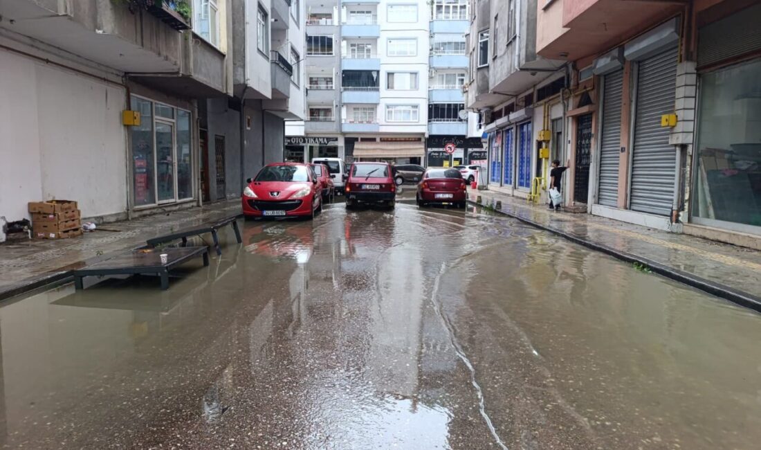 ORDU (AA) – Ordu'nun Çamaş ilçesinde meydana gelen heyelan nedeniyle