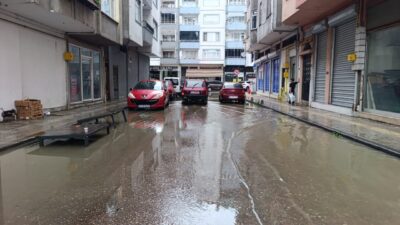 ORDU (AA) – Ordu'nun Çamaş ilçesinde meydana gelen heyelan nedeniyle