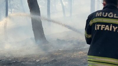 MUĞLA (AA) – Muğla'nın Ortaca ilçesinde ormanlık alanda çıkan yangına