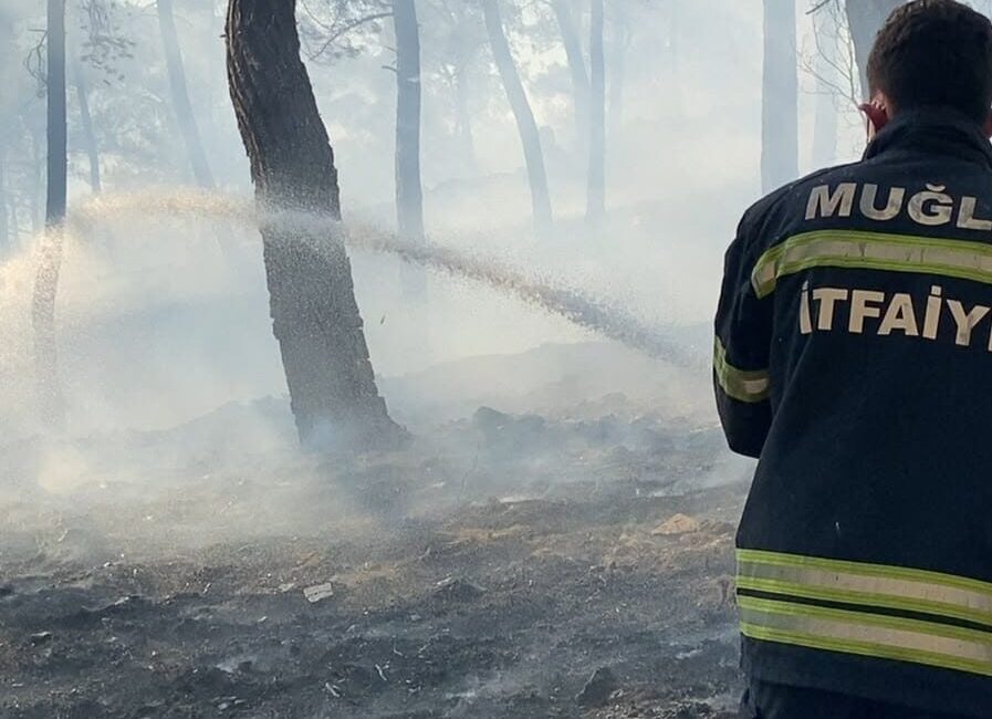 MUĞLA (AA) – Muğla'nın Ortaca ilçesinde ormanlık alanda çıkan yangına