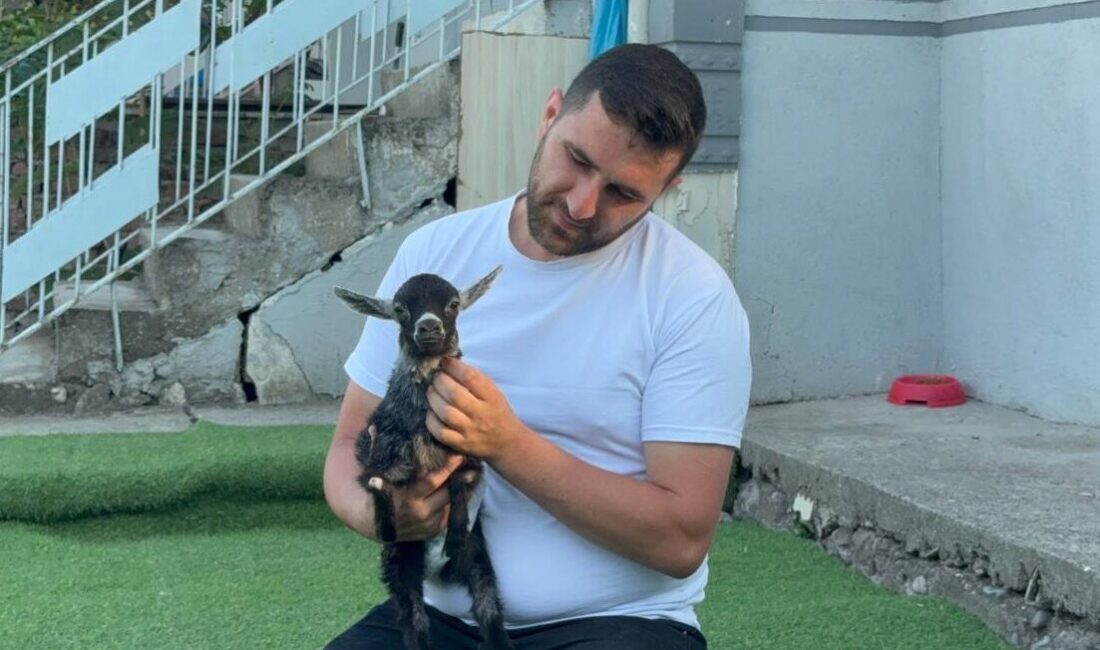 KARABÜK (AA) – Karabük'te yem almaya gittikleri pet shopta karşılaştıkları