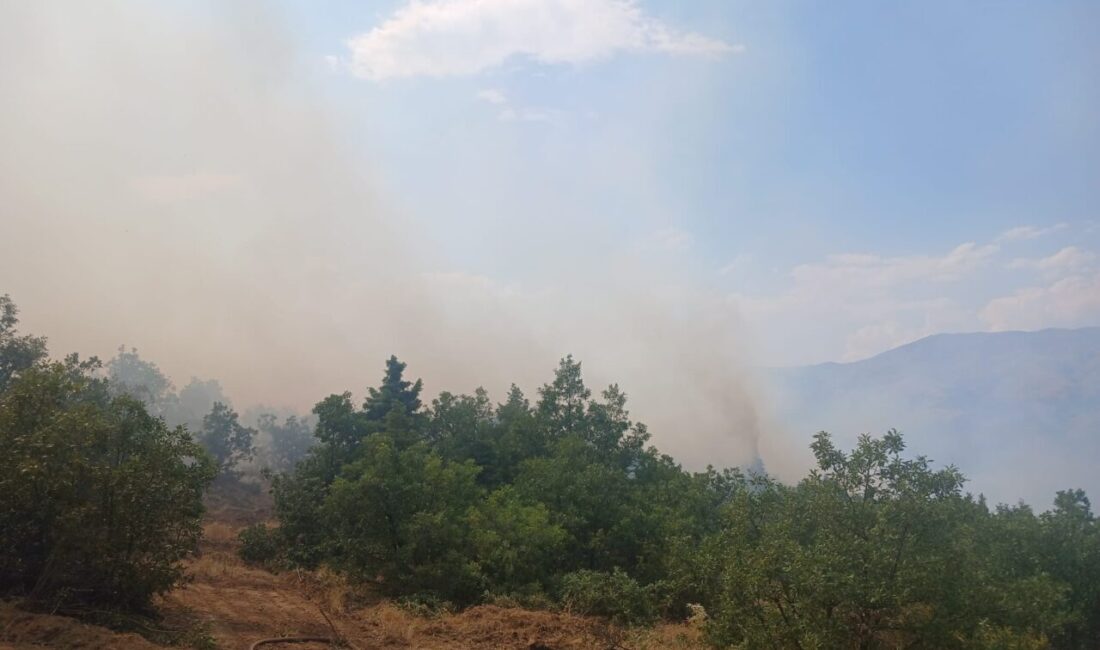MALATYA (AA) – Malatya'nın Pütürge ilçesinde çıkan orman yangınına müdahale