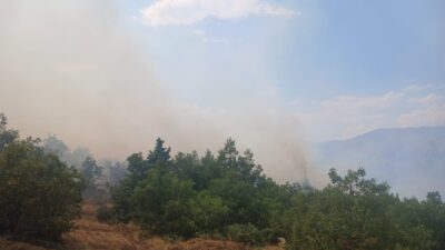 MALATYA (AA) – Malatya'nın Pütürge ilçesinde çıkan orman yangınına müdahale