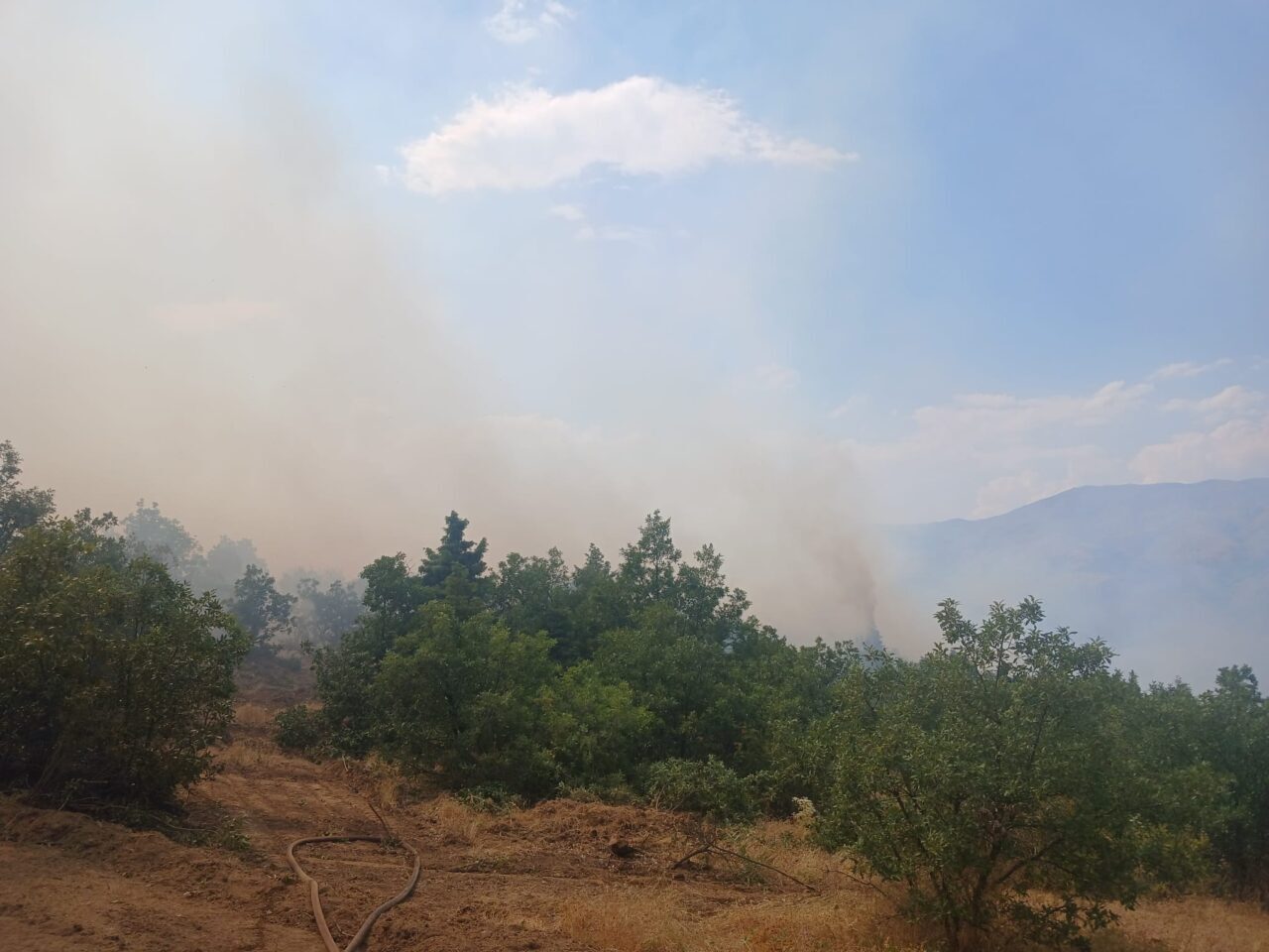 MALATYA (AA) – Malatya'nın Pütürge ilçesinde çıkan orman yangınına müdahale
