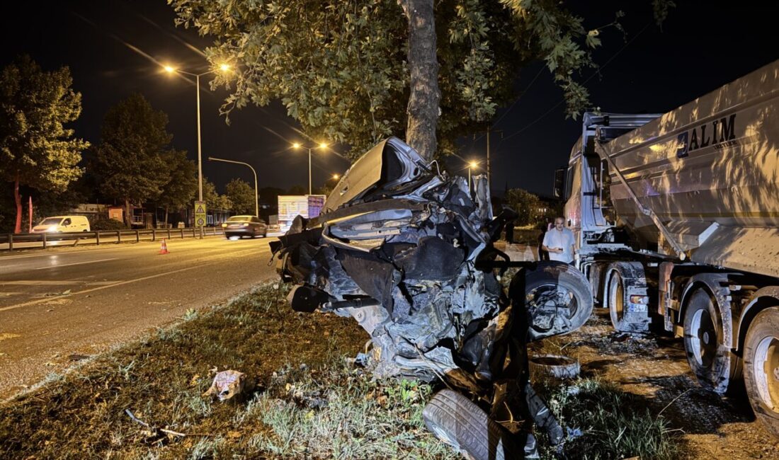 SAKARYA (AA) – Sakarya'nın Erenler ilçesinde ağaca çarparak ikiye ayrılan