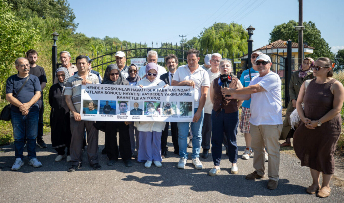 SAKARYA (AA) – Sakarya'nın Hendek ilçesindeki havai fişek fabrikasında, 3