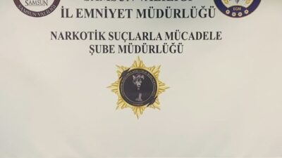 SAMSUN (AA) – Samsun'da düzenlenen operasyonda çeşitli tür ve miktarlarda