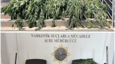 SAMSUN (AA) – Samsun'un Bafra ilçesinde düzenlenen uyuşturucu operasyonunda gözaltına