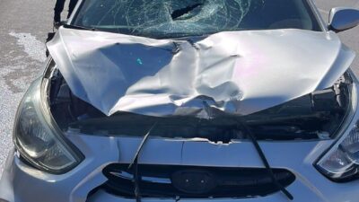 SAMSUN (AA) – Samsun'un Kavak ilçesinde otomobilin çarptığı kadın hayatını