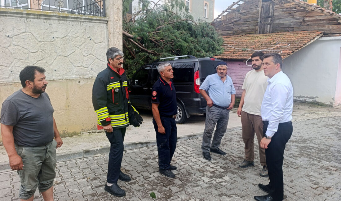 SAMSUN (AA) – Samsun'un Havza ilçesinde sağanak ve rüzgar, hayatı