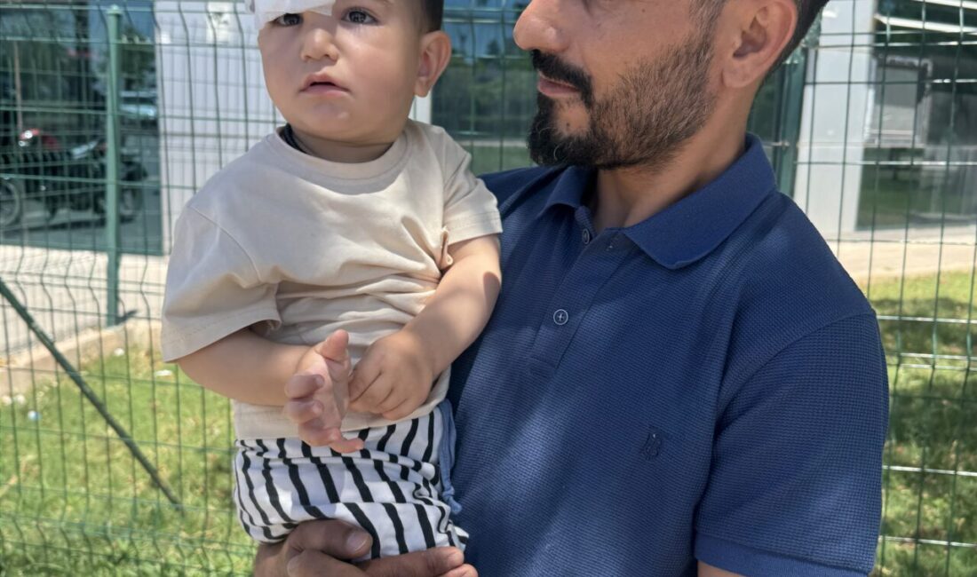 ŞANLIURFA (AA) – Şanlıurfa'nın Halfeti ilçesinde sahipsiz köpeğin saldırısına uğrayan