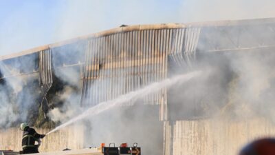 ŞANLIURFA (AA) – Şanlıurfa'nın Haliliye ilçesinde bir besi ve et