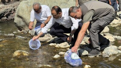 KASTAMONU (AA) – Kastamonu'nun Bozkurt ilçesinde 11 Ağustos 2021'de yaşanan